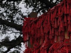-武当山风景区
