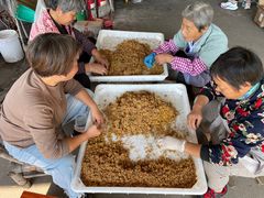 -苏州市吴中区光福窑上花果蜜饯厂