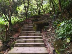 -火炉山森林公园