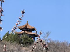 -白水寺森林公园