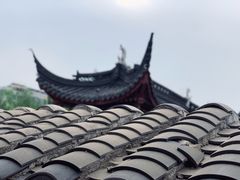 -IFIF 如果花園(宽厚里店)