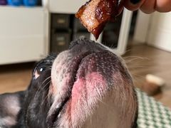 -都士牧人现烤牛肉干