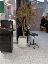 -PE SALON 