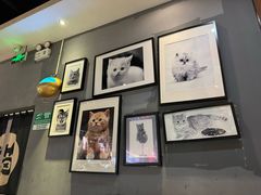 -猫抓烤肉(武进吾悦广场店)