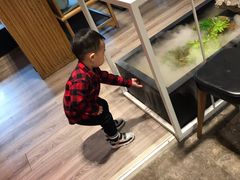 -小大董·烤鸭(凤凰汇店)