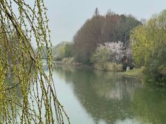-苏州太湖国家湿地公园
