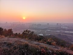 -树山生态村