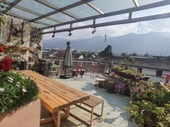 -喵屿·大理花园猫咖