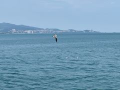 -悦海公园