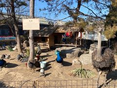 -有喜胶东小馆(太申祥和店)