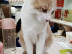 -储奇门鳝鱼火锅(总店)