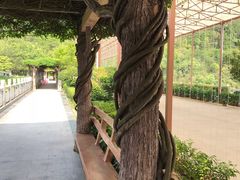-梅州雁山湖国际花园度假区