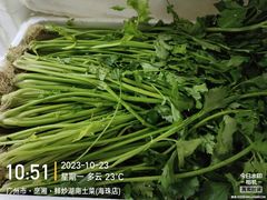 -烹湘·鲜炒湖南土菜(海珠店)