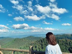 -武陵山森林公园