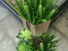 -风吟仟茶(友阿店)