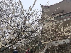 -广州市流溪河国家森林公园