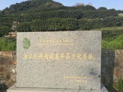 -龙井村