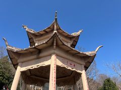 -平湖九龙山旅游度假区