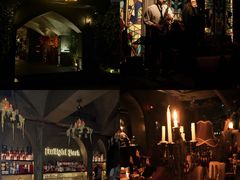 -暮色公园Twilight Park·威士忌Bar