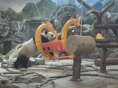 -武汉动物园
