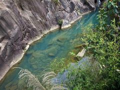 -广州白江湖森林公园