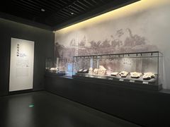 -四川大学博物馆