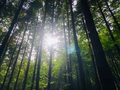 -山王坪喀斯特国家生态公园