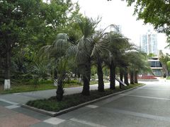 -苏州河梦清园环保主题公园