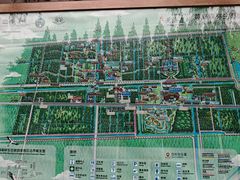 -黄海国家森林公园