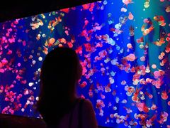 -成都浩海立方海洋公园