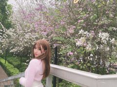 -南宁南湖公园