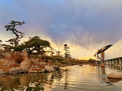 -罗红摄影艺术馆