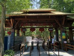 -东平国家森林公园