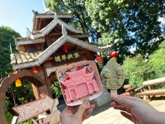 -云南民族村