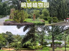 -槟城植物园