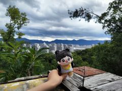 -金鸡山公园