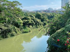 -碧桂园润杨溪谷温泉酒店