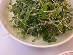 香椿苗拌桃仁-福顺居(刘家窑店)