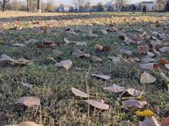 -汉长安城未央宫国家考古遗址公园