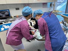 -希玛爱康健口腔(南山海岸城店)