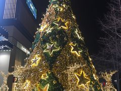 -鲜呦蒸汽石锅鱼(北辰路店)