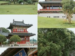 -溱湖国家湿地公园