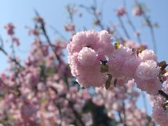 -观澜湖生态运动公社