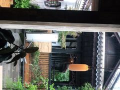 -知亘茶食