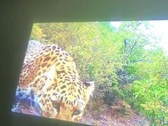 -御足宫影院式足道(平江万达店)