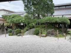 -中村藤吉(本店)