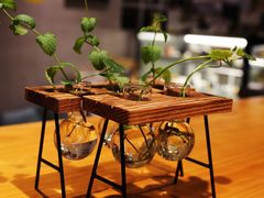 -ZING COFFEE 镜咖啡