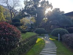 -桃花岭景区