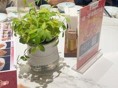 -山东宾馆·齐鲁苑餐厅
