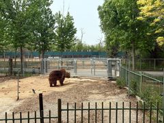 -秦皇岛野生动物园